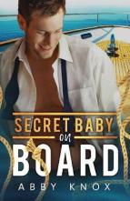 Secret Baby on Board by Abby Knox