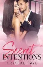 Secret Intentions by Crystal Faye