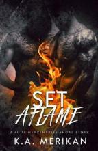 Set Aflame by K.A. Merikan