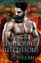 Shadowed Intentions by S.E. Welsh