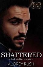 Shattered by Audrey Rush