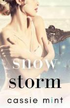 Snow Storm by Cassie Mint