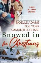 Snowed in for Christmas by Noelle Adams