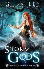 Storm Gods by G. Bailey