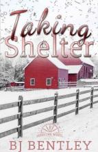 Taking Shelter by BJ Bentley