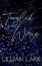 Tangled Wires by Lillian Lark