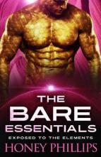 The Bare Essentials by Honey Phillips