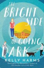 The Bright Side of Going Dark by Kelly Harms