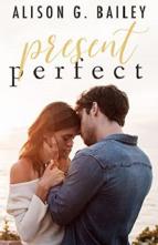 The Perfect Series Box Set by Alison G. Bailey