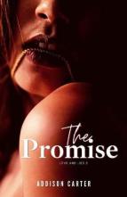 The Promise by Addison Carter