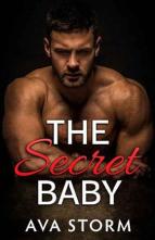 The Secret Baby by Ava Storm