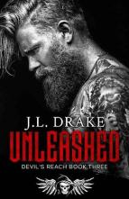 Unleashed by J.L. Drake