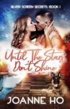 Until The Stars Don’t Shine by Joanne Ho