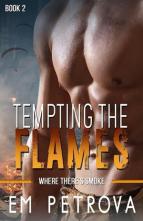 Up in Flames Series by Em Petrova