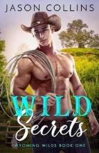 Wild Secrets by Jason Collins