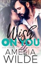 Wish on You by Amelia Wilde