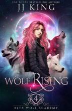 Wolf Rising by JJ King