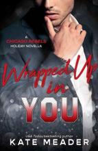 Wrapped Up in You by Kate Meader