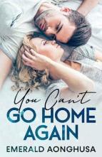 You Can’t Go Home Again by Emerald Aonghusa