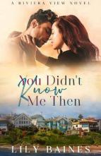 You Didn’t Know Me Then by Lily Baines