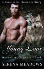 Young Love by Serena Meadows