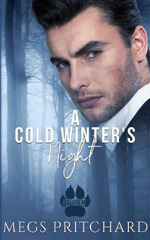 A Cold Winter’s Night by Megs Pritchard