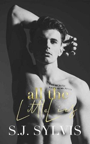 All the Little Lies by S.J. Sylvis