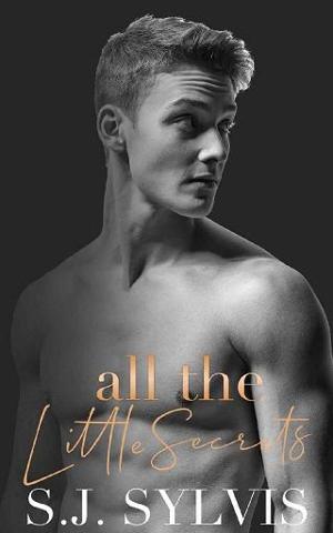 All the Little Secrets by S.J. Sylvis