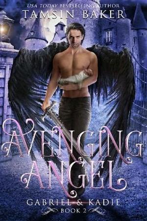 Avenging Angel by Tamsin Baker