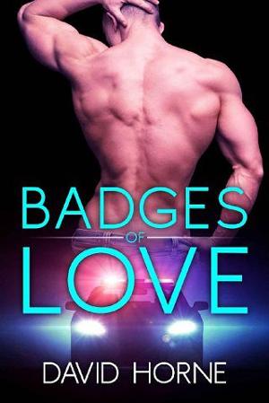 Badges of Love by David Horne