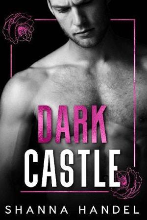 Dark Castle by Shanna Handel