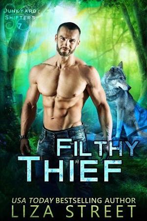 Filthy Thief by Liza Street