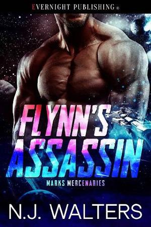 Flynn’s Assassin by N.J. Walters