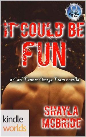 It Could Be Fun by Shayla McBride