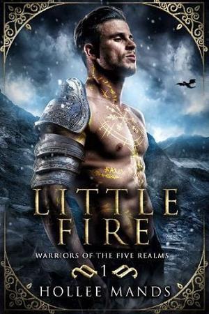 Little Fire by Hollee Mands