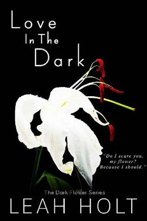 Love in the Dark by Leah Holt