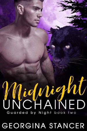 Midnight Unchained by Georgina Stancer