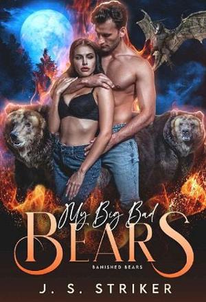 My Big Bad Bears by J.S. Striker