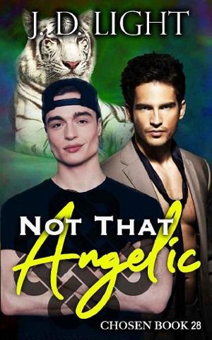 Not that Angelic by J.D. Light