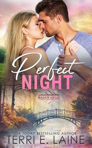 Perfect Night by Terri E. Laine