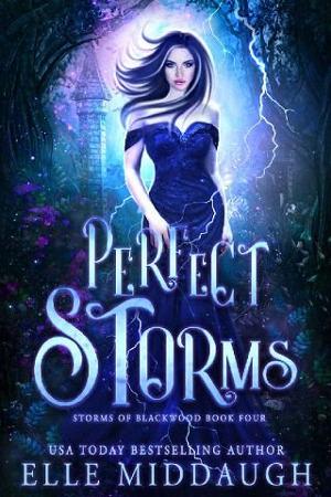 Perfect Storms by Elle Middaugh