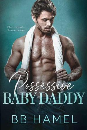 Possessive Baby Daddy by B. B. Hamel