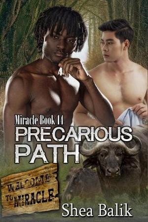 Precarious Path by Shea Balik