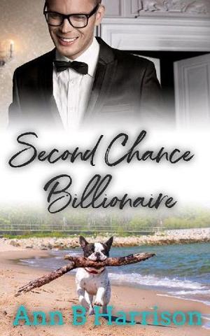 Second Chance Billionaire by Ann B Harrison