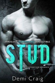 Stud: A Stepbrother Romance by Demi Craig