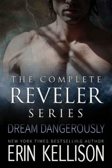 The Reveler Series Boxed Set by Erin Kellison