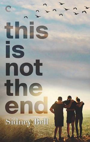 This is Not the End by Sidney Bell